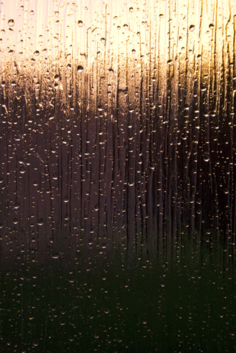 Raindrops on a window